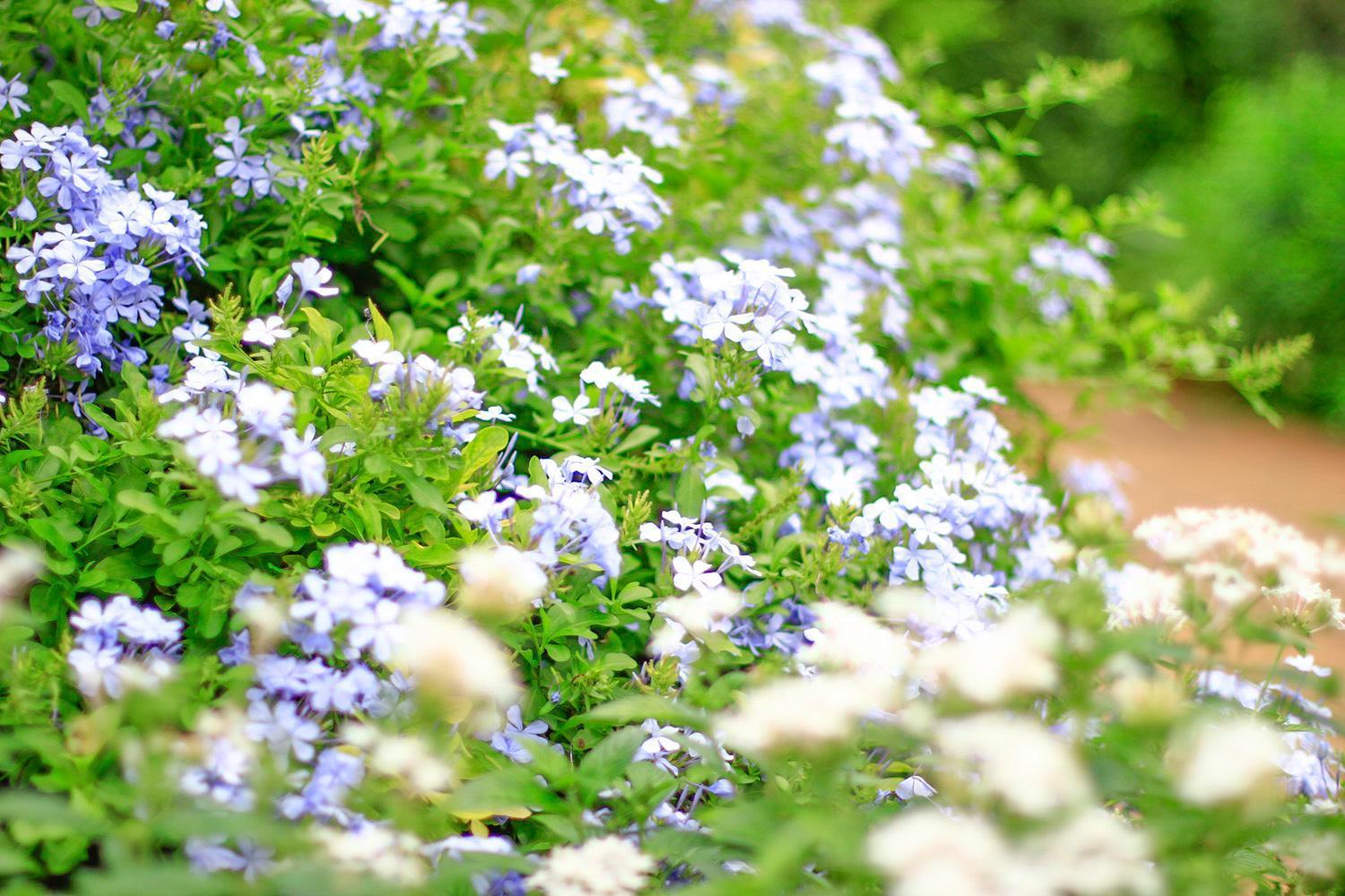 Pottery Flower B&B Jiji Exterior photo